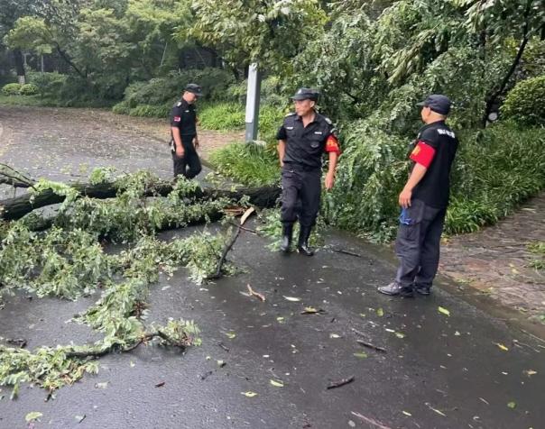C:/Users/BA/Desktop/風(fēng)雨過后南京保安迅速行動(dòng)，恢復(fù)安“寧”面貌/7.jpg7